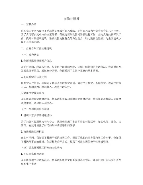 自查自纠驻村