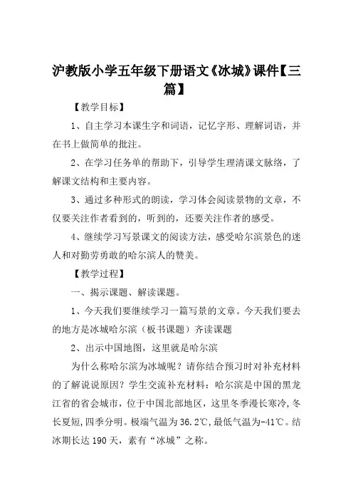 沪教版小学五年级下册语文《冰城》课件【三篇】