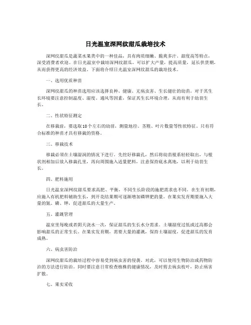 日光温室深网纹甜瓜栽培技术