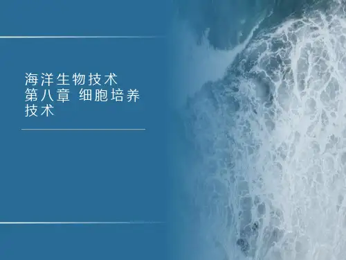 海洋生物技术：海洋动物细胞培养