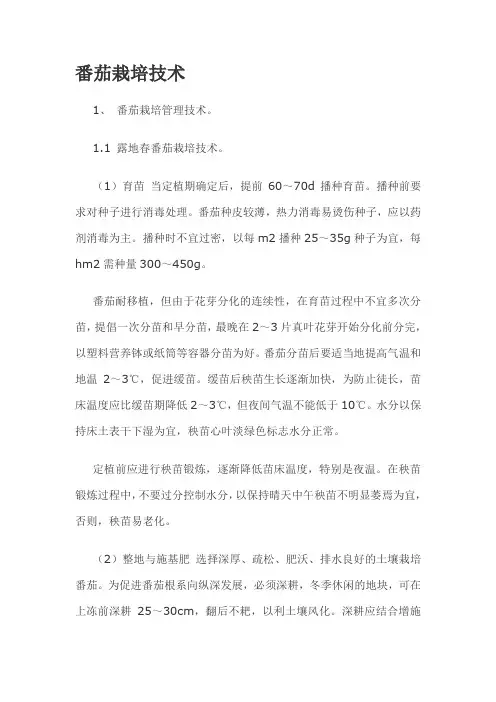 番茄栽培技术