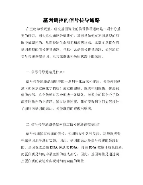 基因调控的信号传导通路