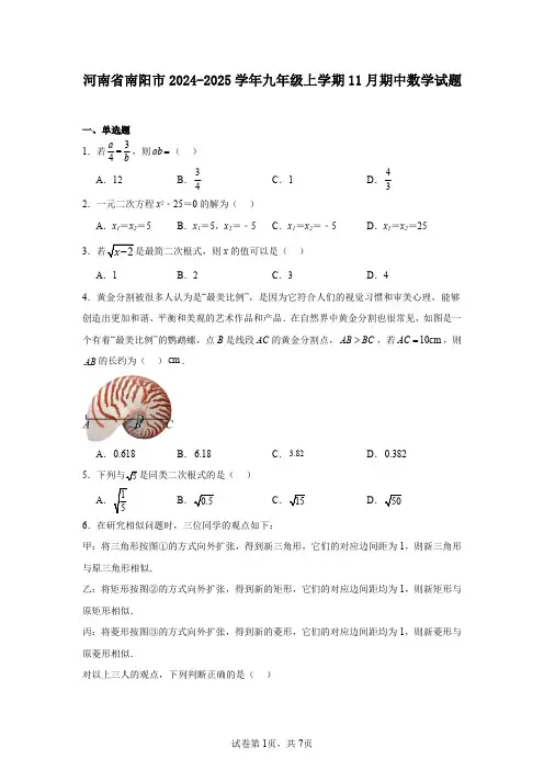 河南省南阳市2024-2025学年九年级上学期11月期中数学试题