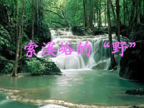 人教版六年级上4索溪峪的野PPT