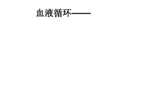 血液循环——ppt课件