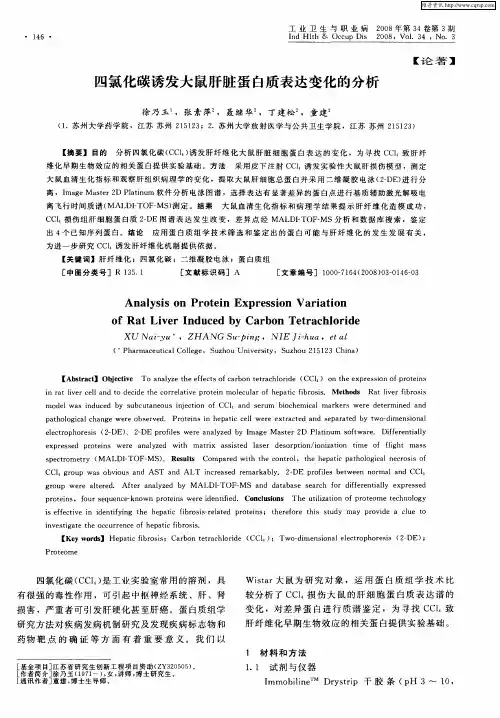 四氯化碳诱发大鼠肝脏蛋白质表达变化的分析