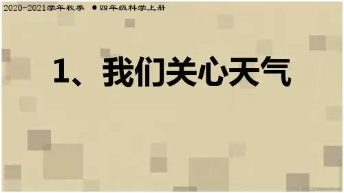 四上科学我们关心天气