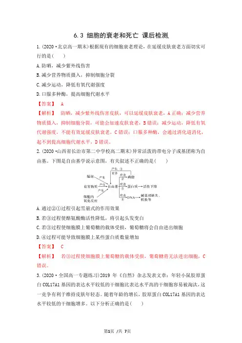 6.3 细胞的衰老和死亡(练习)高一生物(新教材人教版必修1)