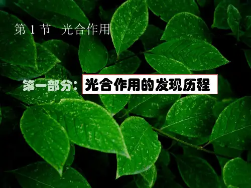 北师大版七年级上册生物：第1节 光合作用
