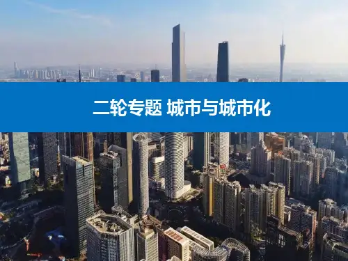 高考地理二轮专题复习城市与城市化PPT课件