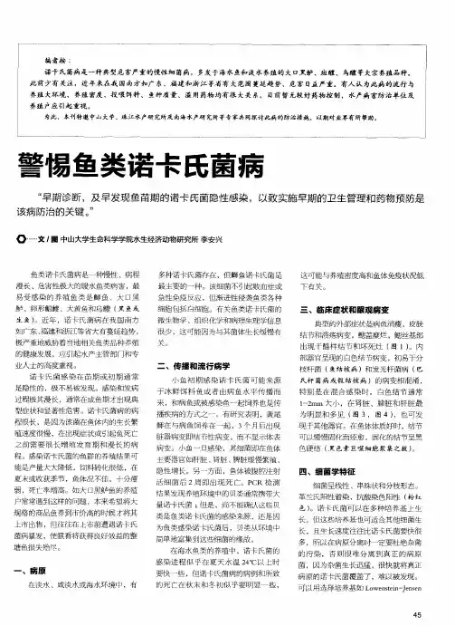 警惕鱼类诺卡氏菌病