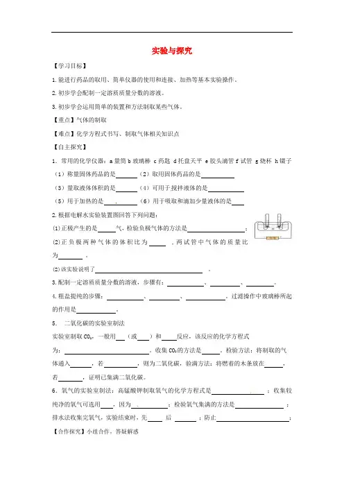 九年级化学下册期中复习实验与探究精品学案(新版)粤教