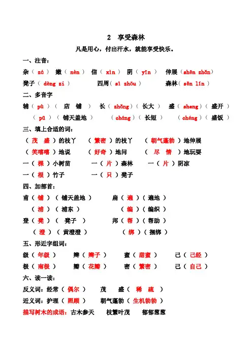 小学二年级下语文课课知识重点 2 享受森林