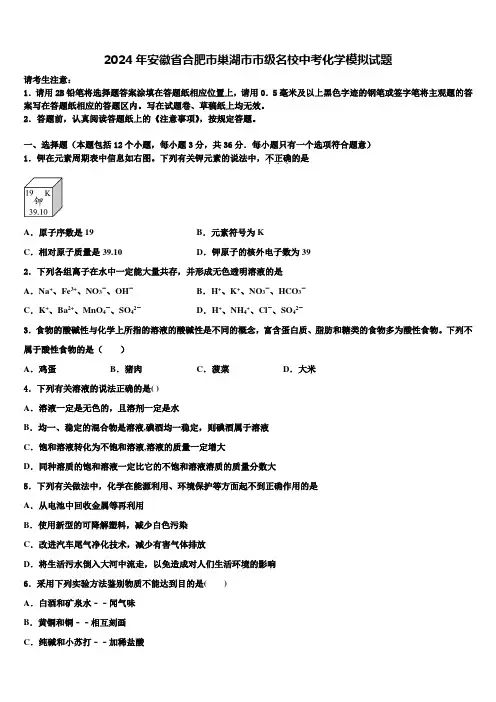 2024年安徽省合肥市巢湖市市级名校中考化学模拟试题含解析