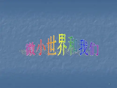 微小世界和我们ppt课件