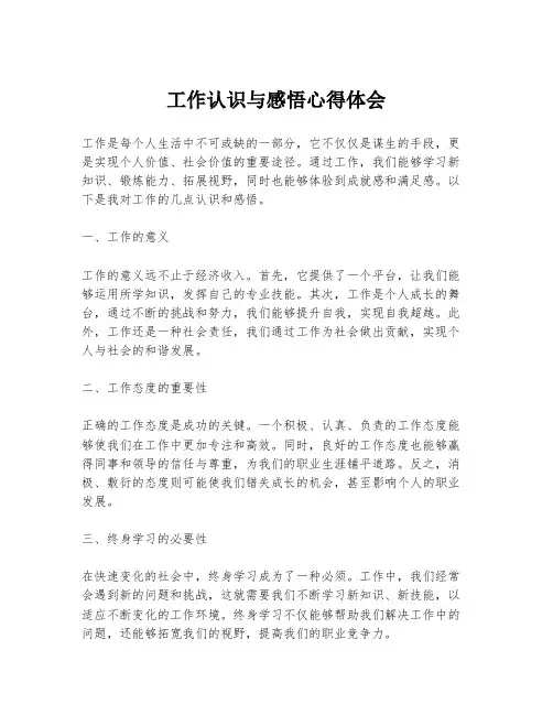 工作认识与感悟心得体会