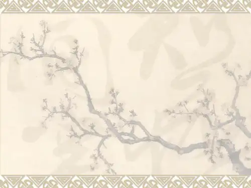 时谐电磁场