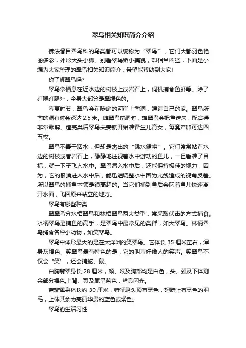 翠鸟相关知识简介介绍