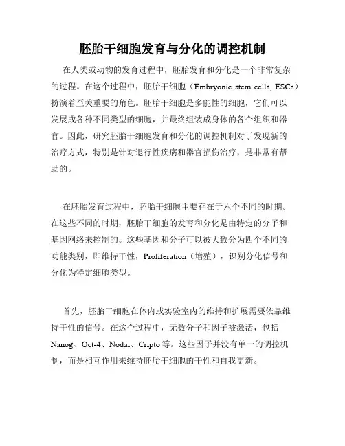 胚胎干细胞发育与分化的调控机制
