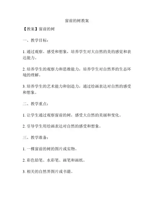 窗前的树教案