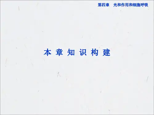 苏教版生物必修1全册精品课件第四章本章知识构建