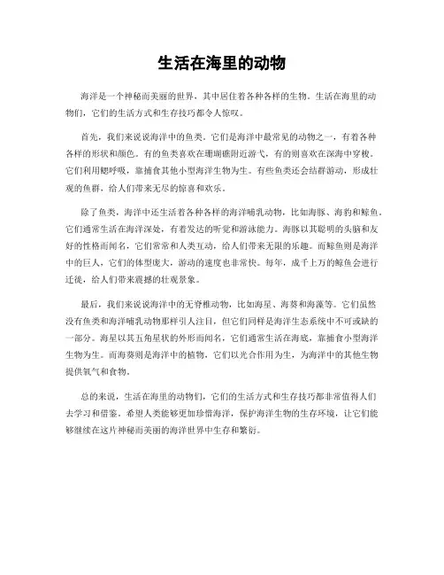 生活在海里的动物