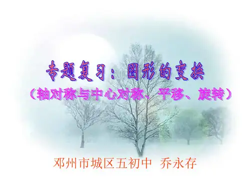 图形的变换专题复习课件
