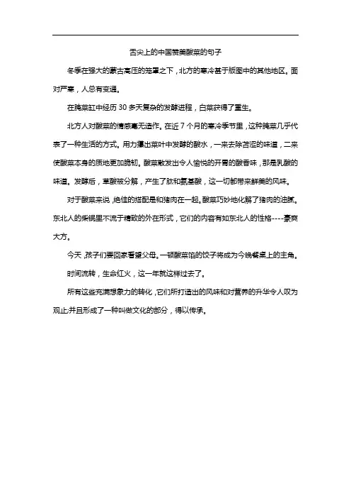 舌尖上的中国赞美酸菜的句子