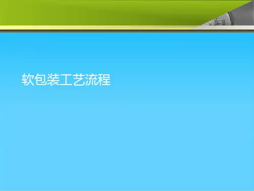 软包装工艺流程