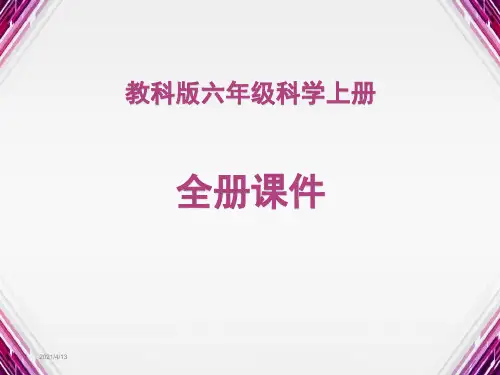 教科版科学六年级上册全册课件
