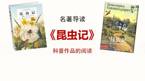 第五单元名著导读《昆虫记》课件(共40张ppt)++2023-2024学年统编版语文八年级上册