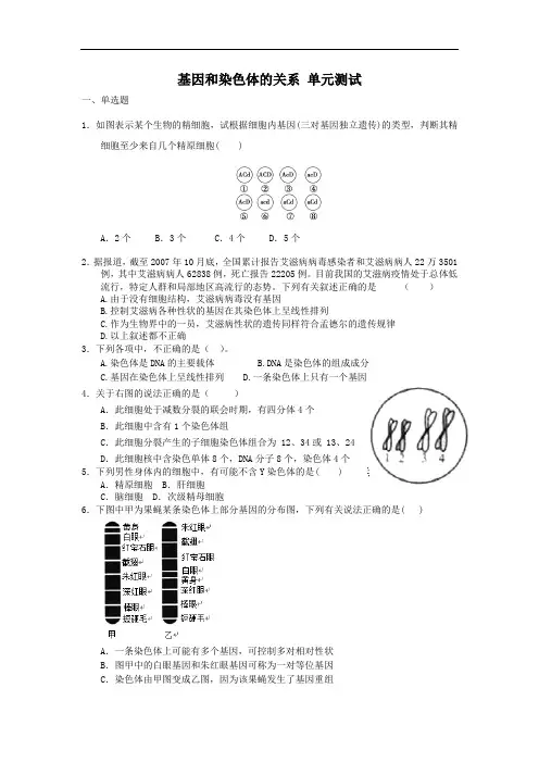 人教版必修2第2章基因和染色体的关系单元测试