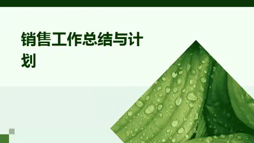 销售工作总结与计划PPT