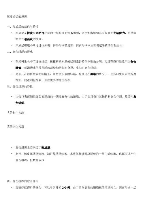 嫁接技术