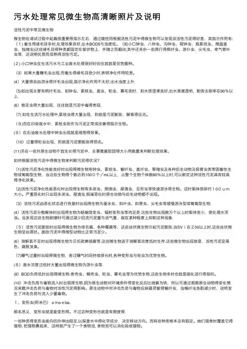 污水处理常见微生物高清晰照片及说明