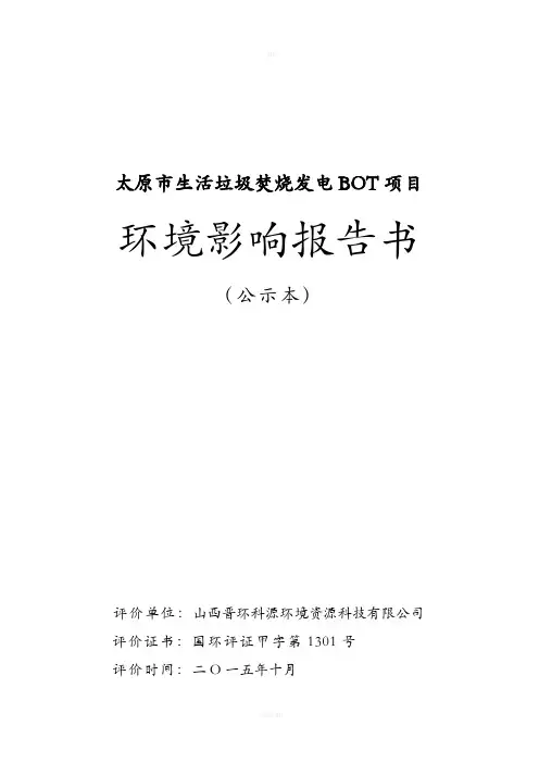 垃圾焚烧发电项目报告书
