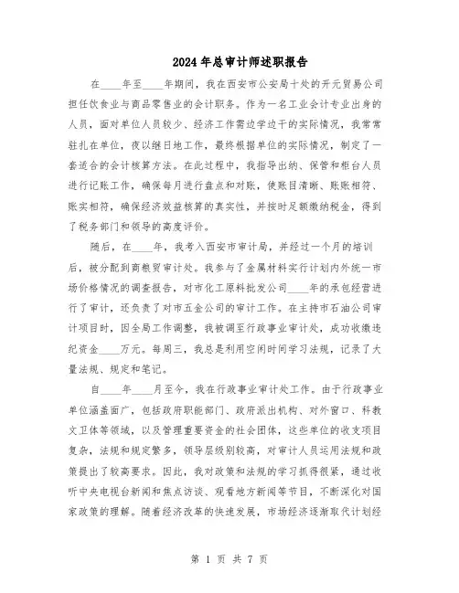 2024年总审计师述职报告(三篇)