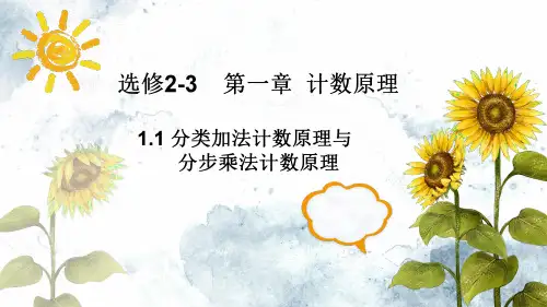 高二年级数学选修2-3《计数原理》优质课件