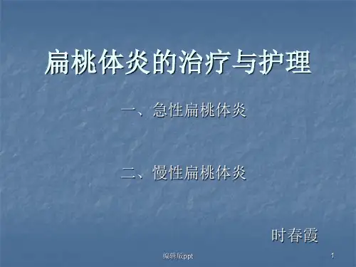 慢性扁桃体ppt课件