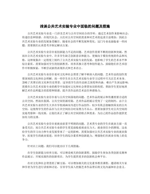 浅谈公共艺术实验专业中面临的问题及措施