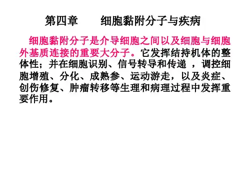 黏附分子