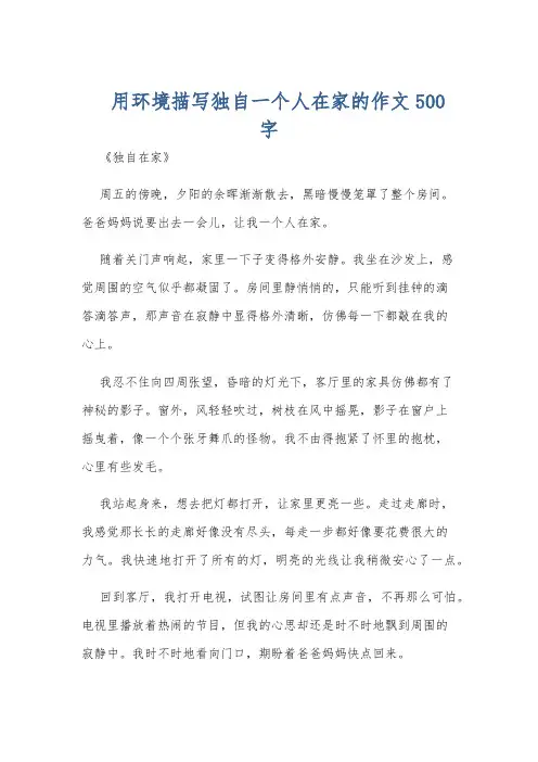 用环境描写独自一个人在家的作文500字