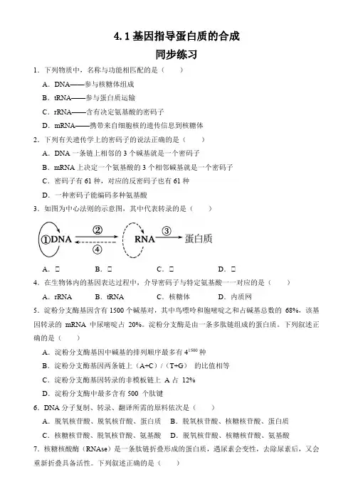 基因指导蛋白质的合成同步练习 高一下学期生物人教版必修2