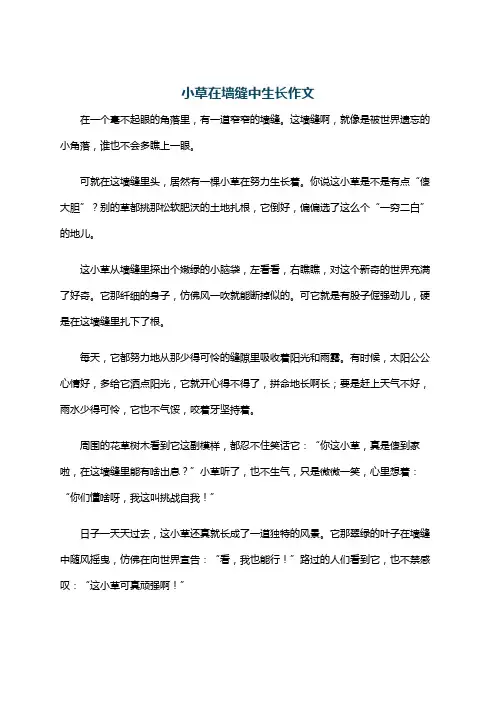 小草在墙缝中生长作文