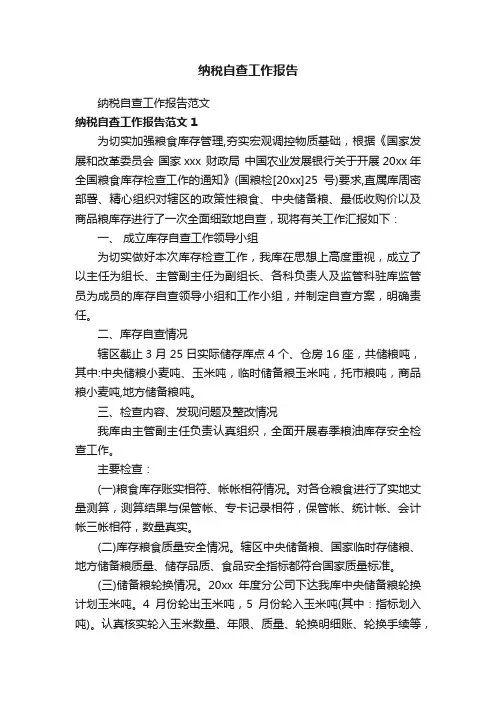 纳税自查工作报告