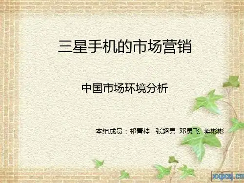 三星的市场营销环境分析