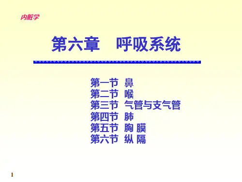 人体系统解剖教程6-内脏学-呼吸系统