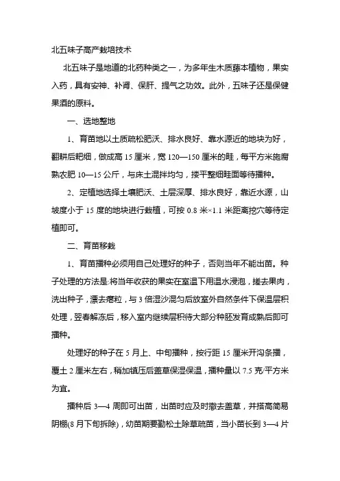 北五味子高产栽培技术
