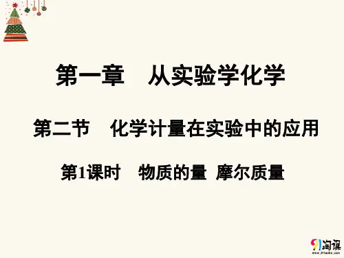课件8：1.2.1 物质的量 摩尔质量