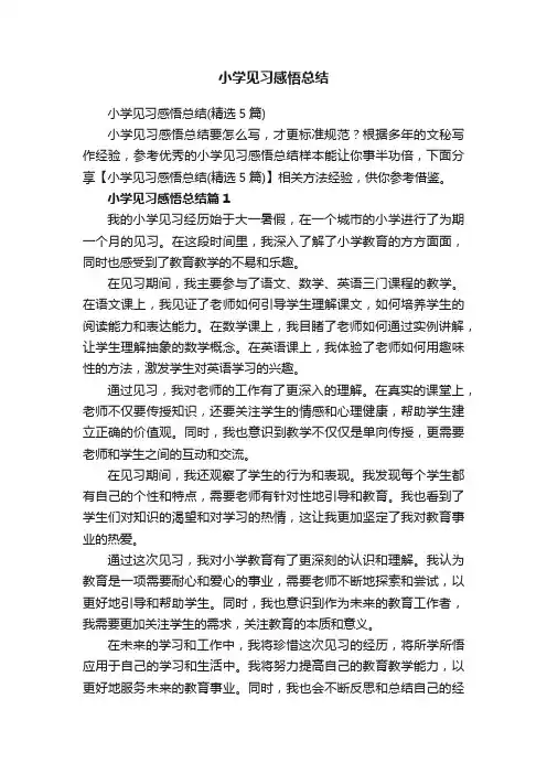 小学见习感悟总结（精选5篇）